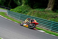 cadwell-no-limits-trackday;cadwell-park;cadwell-park-photographs;cadwell-trackday-photographs;enduro-digital-images;event-digital-images;eventdigitalimages;no-limits-trackdays;peter-wileman-photography;racing-digital-images;trackday-digital-images;trackday-photos